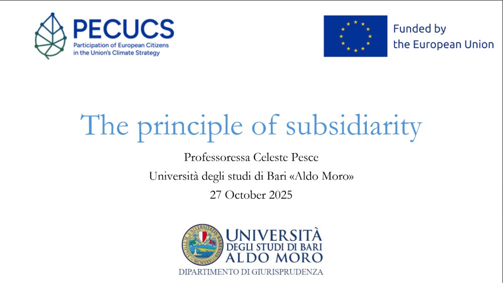 The principle of subsidiarity
